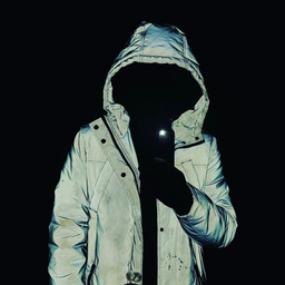 Developer001.