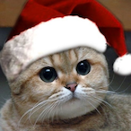 sanorollr-'s Avatar'