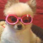 L0ftyz's Avatar'