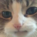 eusebiux123's Avatar'