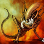 Pr0PhetoWindsom's Avatar'