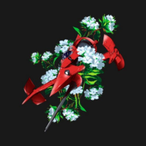 CoolCidCY's Avatar'