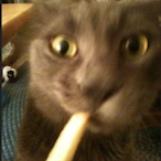 SmokingCat03's Avatar'