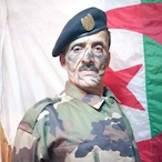 Verginoh's Avatar'