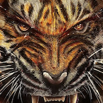 PAPA_BEAR126's Avatar'