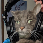 FallenNxzeii's Avatar'