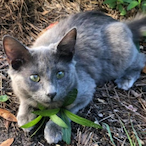 Bustaflex1343's Avatar'