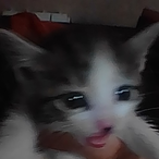 Kuzmi4qq's Avatar'