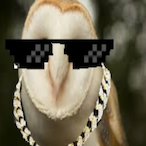 Phoks's Avatar'