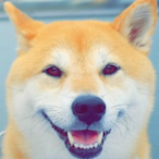 fazehappyness's Avatar'