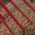 ryanmorcom's Avatar'