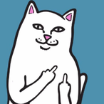 Kenny punter's Avatar'