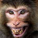 Tungtungtime's Avatar'