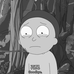 Duck_NL's Avatar'
