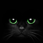 Brandy_Blacat's Avatar'