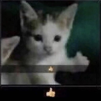 KAL4DIAN's Avatar'