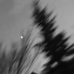 Rvidxrzz's Avatar'