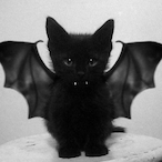 voiceless.GOD's Avatar'