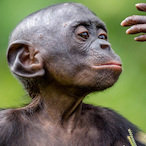 T.TV-SubtleGrin's Avatar'