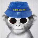 Kod.a-'s Avatar'