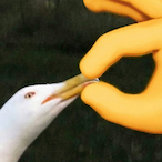 SWNGBY_BOOLIN's Avatar'