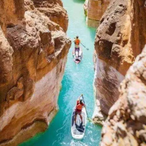 THER6CHAMPIONNNN's Avatar'