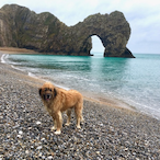 Atxfireball's Avatar'