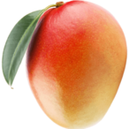 yDread SAB's Avatar'