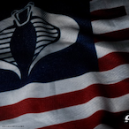 Pittelli-IsLand's Avatar