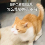 Salted.fish233's Avatar'