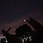 vavo.'s Avatar'