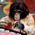 FreeUseGirly's Avatar'