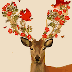 arres53's Avatar'