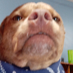 bigbob523's Avatar'