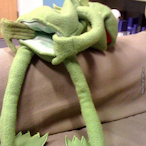 All5tarKid99's Avatar'