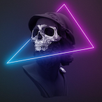 DlZUS's Avatar'