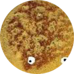 shiwasburger's Avatar'