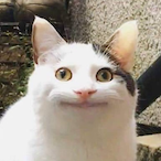 mosusu333's Avatar'
