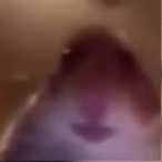 BrianPan666's Avatar'