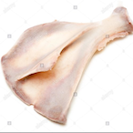 Scapulum's Avatar'