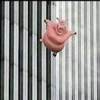 Crunchy_Toes527's Avatar'