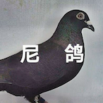 Image_Liner's Avatar'