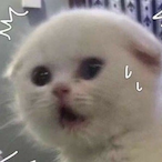 Pinador-Doss's Avatar'