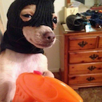 ImAPoTAtoE5988's Avatar'