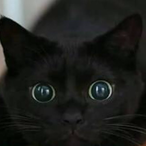 BuzzPepsi's Avatar'