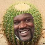 TheBigShaqtus's Avatar'