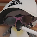 KakapoMaster's Avatar'