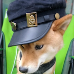 Sparky.RAE's Avatar'