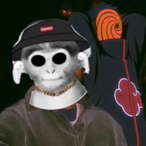 ChrisN851's Avatar'