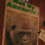 Lenny_chon's Avatar'